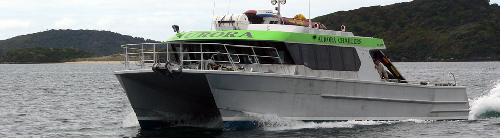 Aurora Charters off Stewart Island
