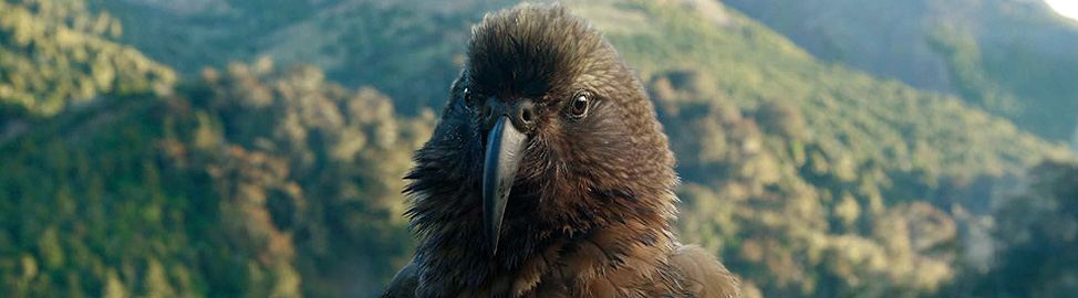 Kaikoura Wilderness Walk & Lodge
