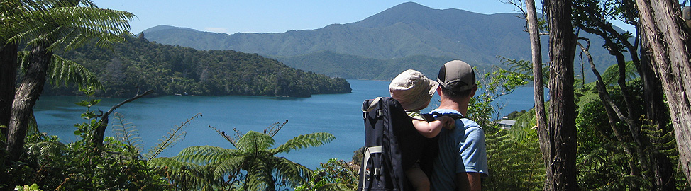 Lochmara experience
