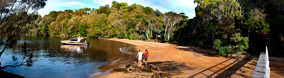 Rakiura charters at Ulva island