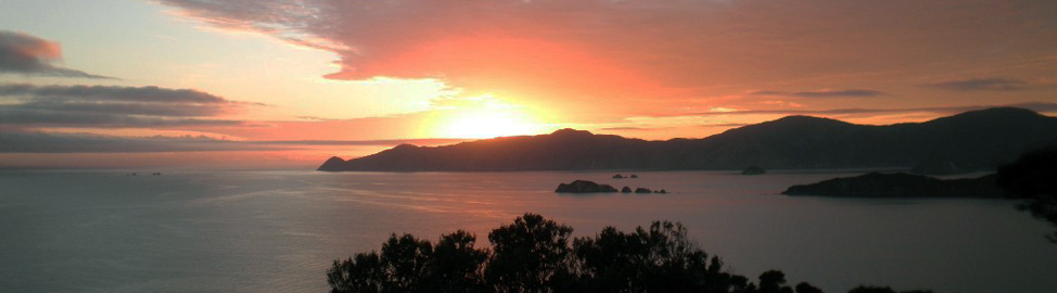 Uncharted Wilderness Tours Uncharted Wilderness Tours
